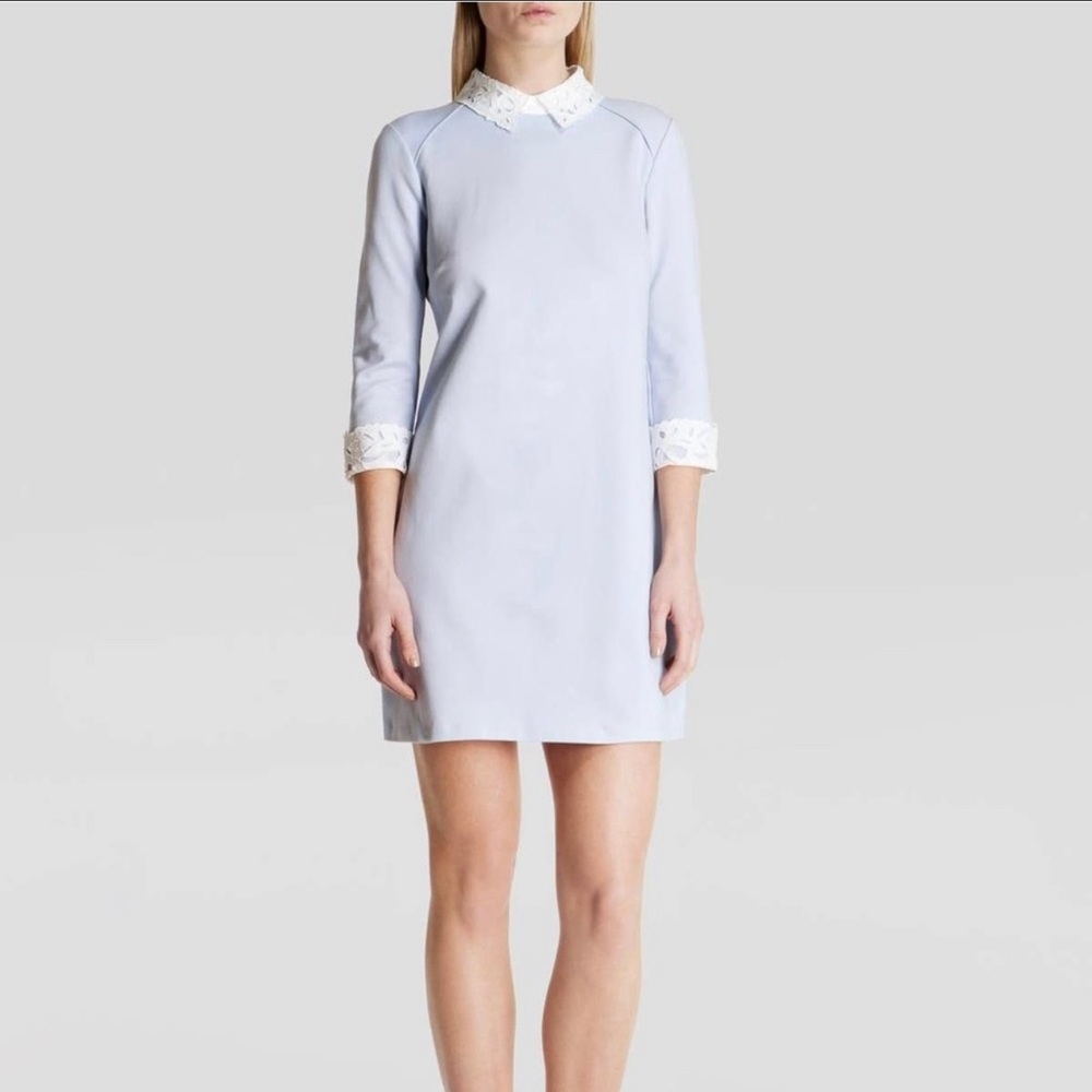 Ted Baker Dress, Lace cuffs on sleeves and neck